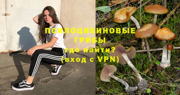 амфетамин Заводоуковск